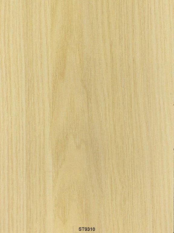 ST9310